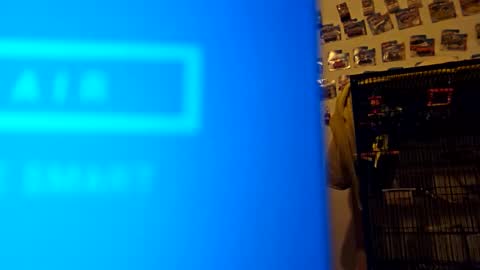 Snapshot of orlandovilla48 chatting on November 18, 12:31 pm orlandovilla48 online show from November 18, 12:31 pm