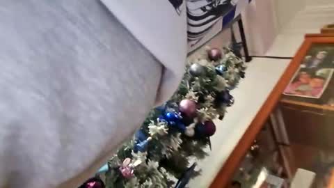 Snapshot of orlandovilla48 chatting on December 5, 12:36 pm orlandovilla48 online show from December 5, 12:36 pm