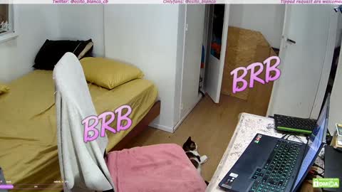 Snapshot of osito_blanco chatting on January 30, 5:19 am Osito Blanco online show from January 30, 5:19 am