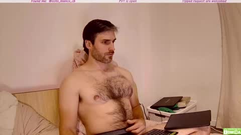 Snapshot of osito_blanco chatting on November 6, 12:55 am Osito Blanco online show from November 6, 12:55 am