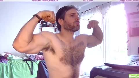 Snapshot of osito_blanco chatting on November 13, 8:19 pm Osito Blanco online show from November 13, 8:19 pm