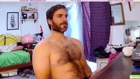 Snapshot of osito_blanco chatting on December 4, 11:19 am Osito Blanco online show from December 4, 11:19 am