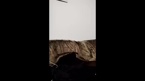 Owen kayz online show from April 29, 9:21 pm