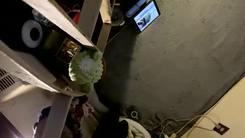 Snapshot of oyeblancki chatting on January 3, 4:22 am CoCreatorBlancki online show from January 3, 4:22 am