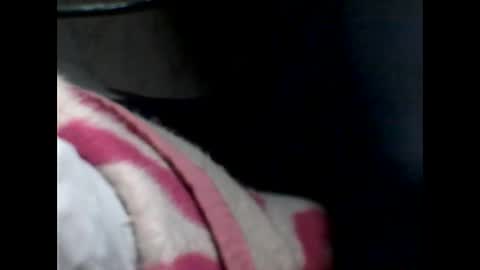 Snapshot of p_ro_rok chatting on February 7, 2:04 am p_ro_rok online show from February 7, 2:04 am