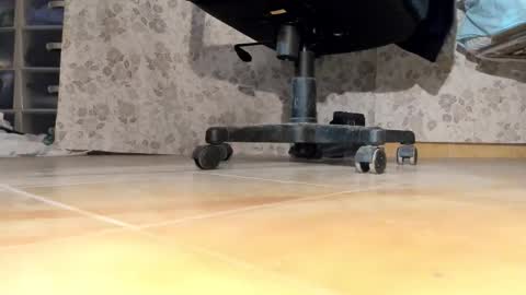 Snapshot of pablomenesssl chatting on December 17, 6:36 pm Pablo Meness online show from December 17, 6:36 pm