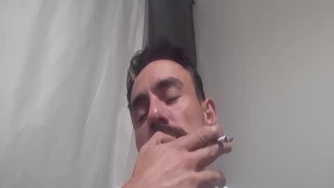   PALA online show from November 23, 3:28 am