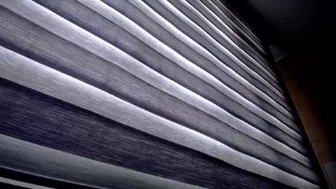 Palmer online show from December 9, 1:24 pm