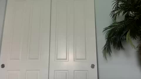 palmflacco online show from October 11, 5:44 pm