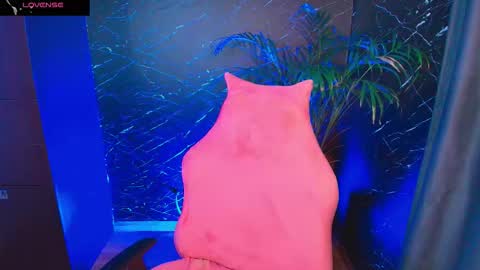 Palo Santo online show from February 5, 7:35 am