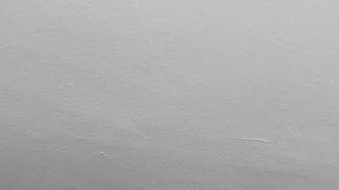 Snapshot of pamela_karim chatting on February 1, 9:51 pm Pamela karim online show from February 1, 9:51 pm