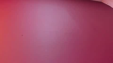  P A M  online show from February 17, 4:09 am