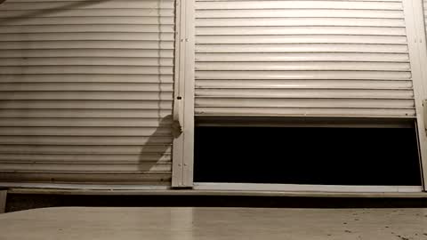 angel hris online show from November 24, 6:18 pm