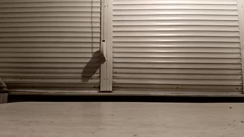 angel hris online show from February 25, 4:27 pm