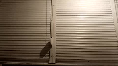 angel hris online show from March 5, 7:10 pm