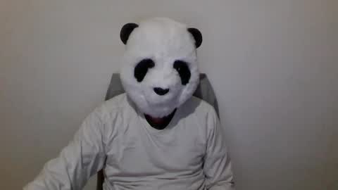 Snapshot of panda_feliz chatting on December 6, 7:01 pm Panda online show from December 6, 7:01 pm