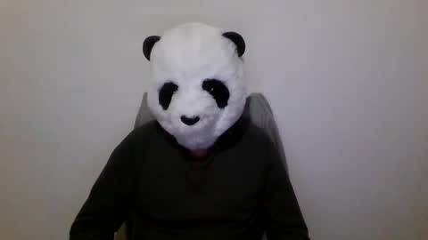 Snapshot of panda_feliz chatting on December 7, 7:10 pm Panda online show from December 7, 7:10 pm