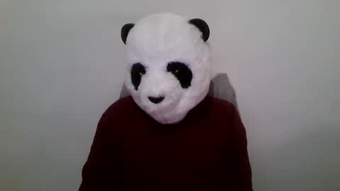 Snapshot of panda_feliz chatting on January 23, 12:52 pm Panda online show from January 23, 12:52 pm