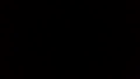 pantz online show from December 3, 10:06 am