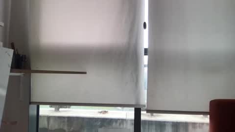 LaRocca online show from November 19, 11:43 am