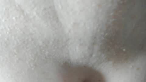 sara and andreu online show from December 7, 6:04 pm