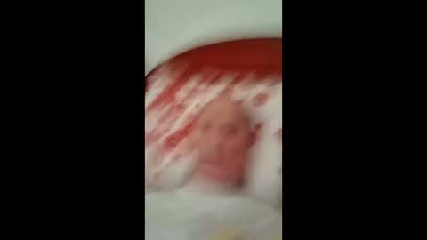 Pati24 online show from December 21, 6:31 am