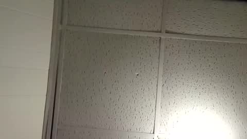 JD online show from November 19, 2:44 am