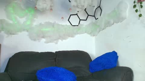 Patrick Rose  online show from February 15, 2:11 pm