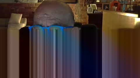 patvac online show from December 17, 12:55 pm