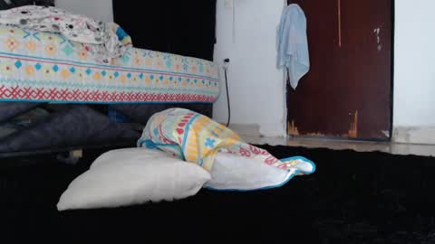 Snapshot of paula_torrez chatting on September 17, 2:08 pm paula_torrez online show from September 17, 2:08 pm