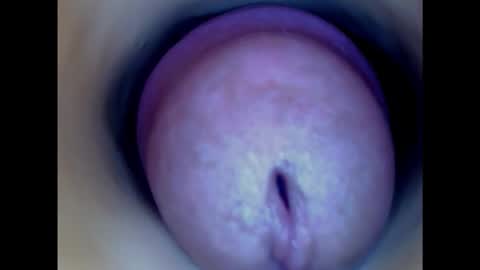 Snapshot of paulainoscente chatting on January 15, 6:51 pm Paula 18 Aninhos online show from January 15, 6:51 pm
