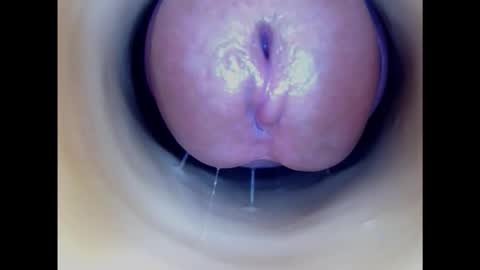 Snapshot of paulainoscente chatting on January 15, 9:51 pm Paula 18 Aninhos online show from January 15, 9:51 pm