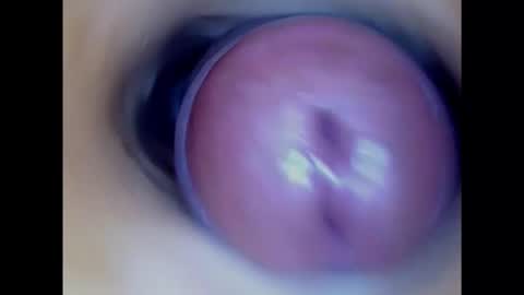 Snapshot of paulainoscente chatting on January 17, 3:53 pm Paula 18 Aninhos online show from January 17, 3:53 pm