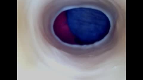 Snapshot of paulainoscente chatting on January 18, 5:04 pm Paula 18 Aninhos online show from January 18, 5:04 pm