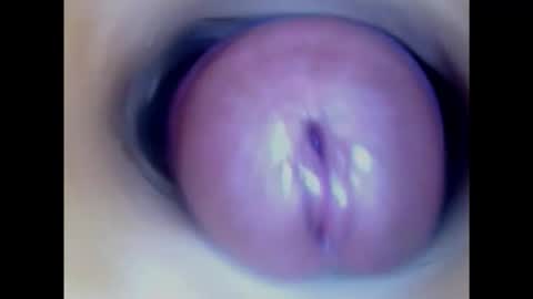 Snapshot of paulainoscente chatting on January 23, 1:51 am Paula 18 Aninhos online show from January 23, 1:51 am