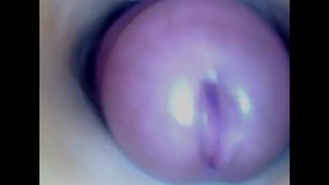 Snapshot of paulainoscente chatting on January 23, 8:35 pm Paula 18 Aninhos online show from January 23, 8:35 pm