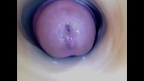 Snapshot of paulainoscente chatting on January 24, 1:03 am Paula 18 Aninhos online show from January 24, 1:03 am