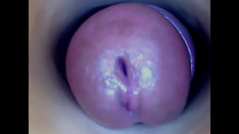 Snapshot of paulainoscente chatting on January 26, 10:35 pm Paula 18 Aninhos online show from January 26, 10:35 pm