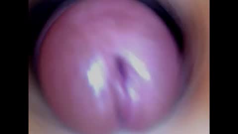 Snapshot of paulainoscente chatting on January 28, 12:47 am Paula 18 Aninhos online show from January 28, 12:47 am