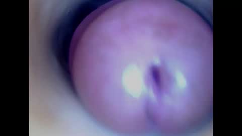 Snapshot of paulainoscente chatting on January 29, 2:51 am Paula 18 Aninhos online show from January 29, 2:51 am