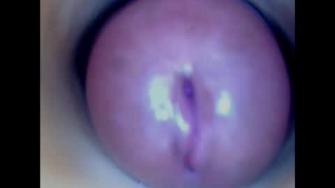 Snapshot of paulainoscente chatting on January 29, 8:56 pm Paula 18 Aninhos online show from January 29, 8:56 pm