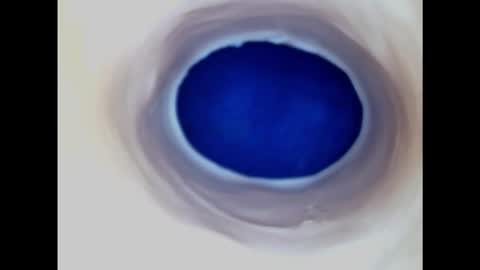 Paula 18 Aninhos online show from November 9, 7:34 pm