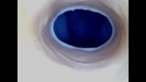 Paula 18 Aninhos online show from November 17, 5:24 am