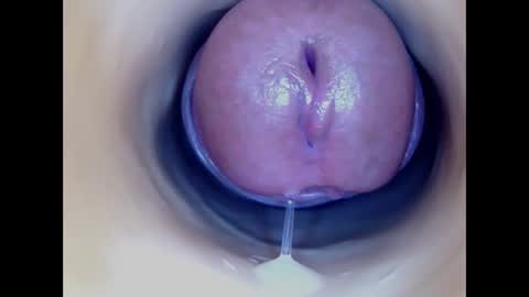 Paula 18 Aninhos online show from January 7, 12:02 am