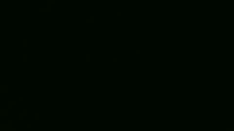 PaulCongo online show from April 22, 10:28 am