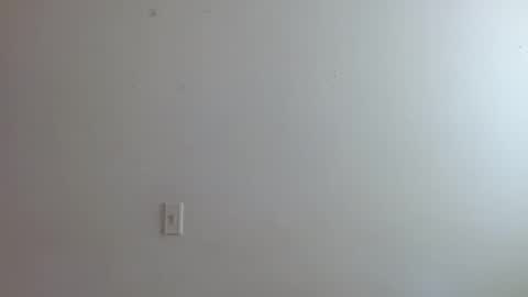 paulet latiin online show from September 16, 4:41 pm