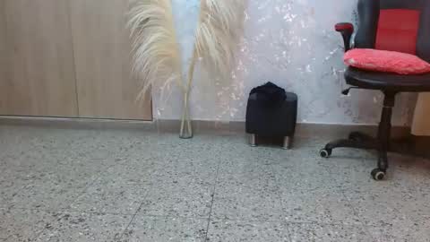 Paulina Rubio online show from December 7, 10:17 pm