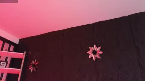 Snapshot of paulo527 chatting on February 5, 9:08 pm Paulo online show from February 5, 9:08 pm