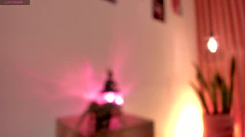 Dani online show from June 2, 1:35 pm