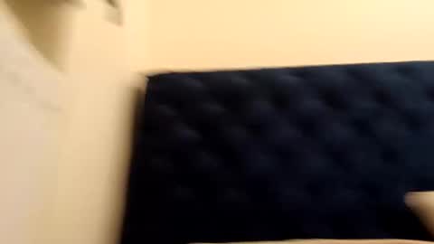 Paw online show from December 21, 5:36 am